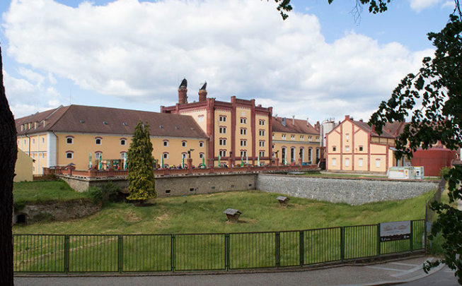 Pivovarnictví v Třeboni