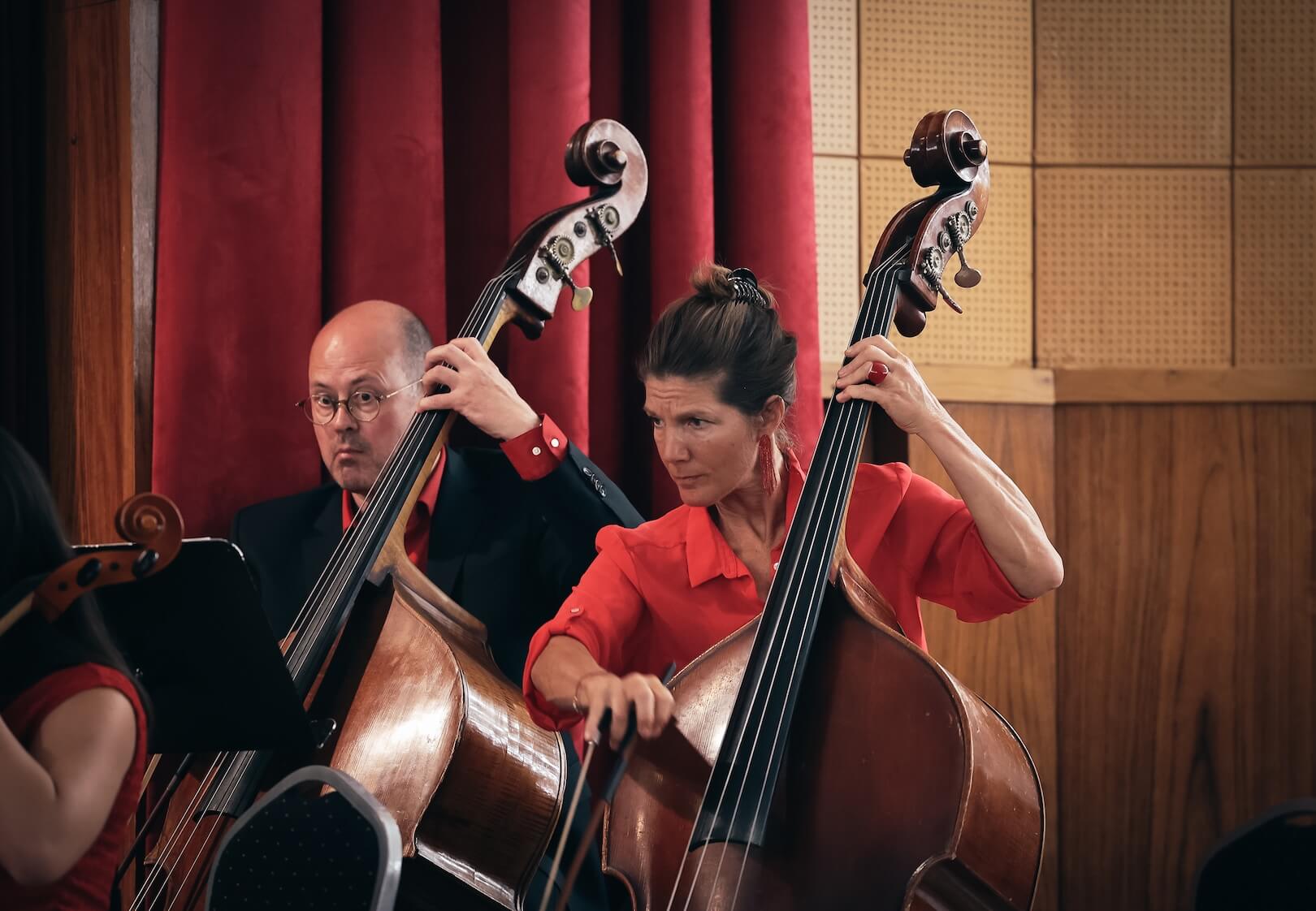 Symfonický orchestr Hudební školy v Linci - obrázek 11