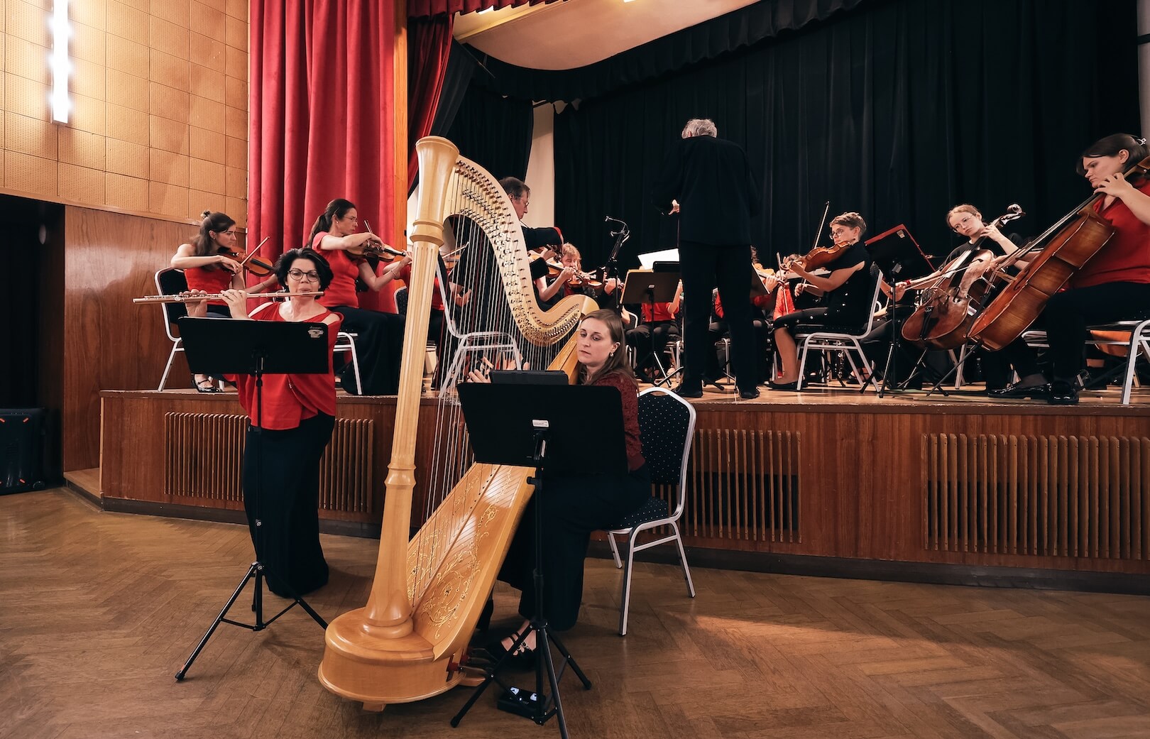 Symfonický orchestr Hudební školy v Linci - obrázek 30