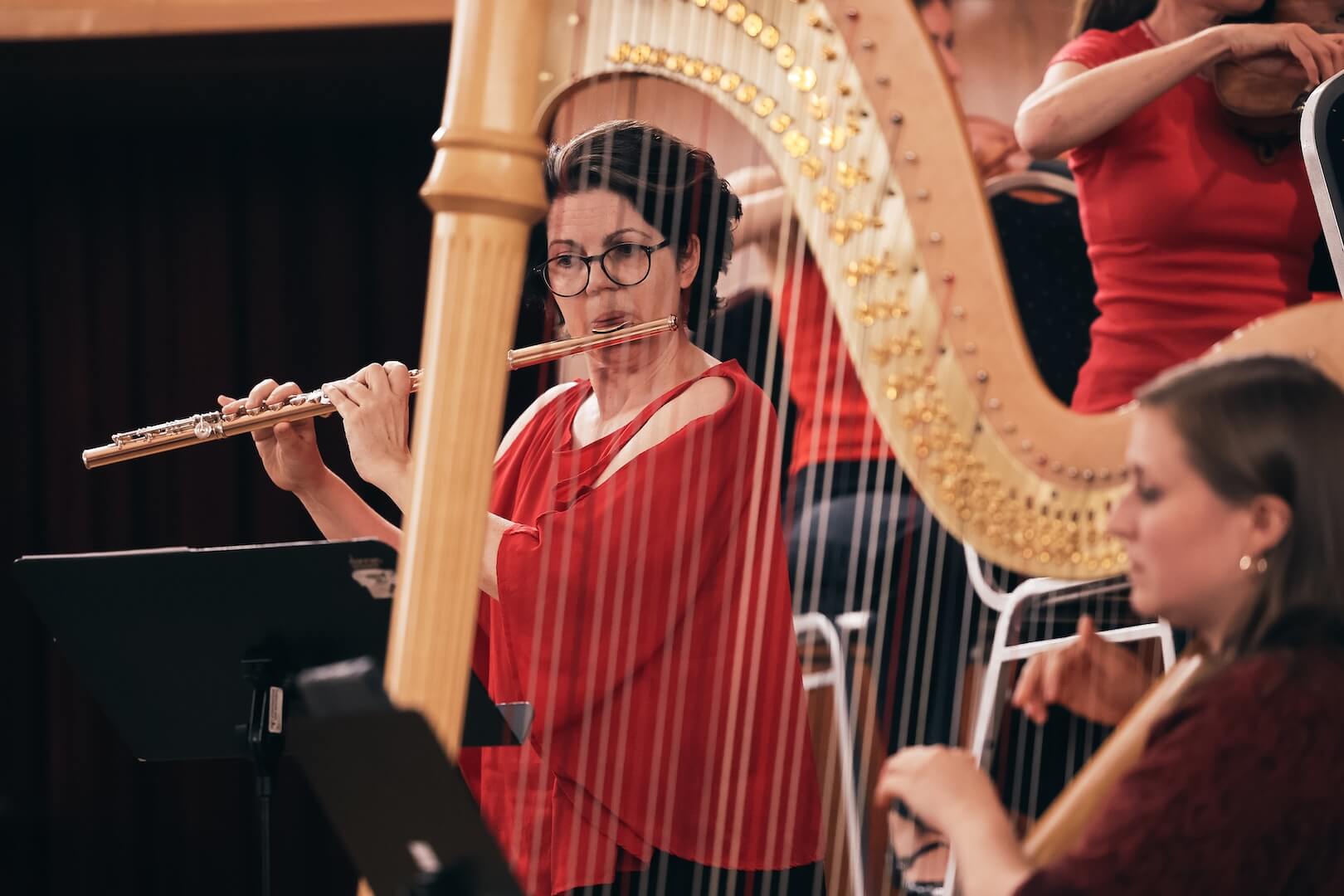 Symfonický orchestr Hudební školy v Linci - obrázek 32