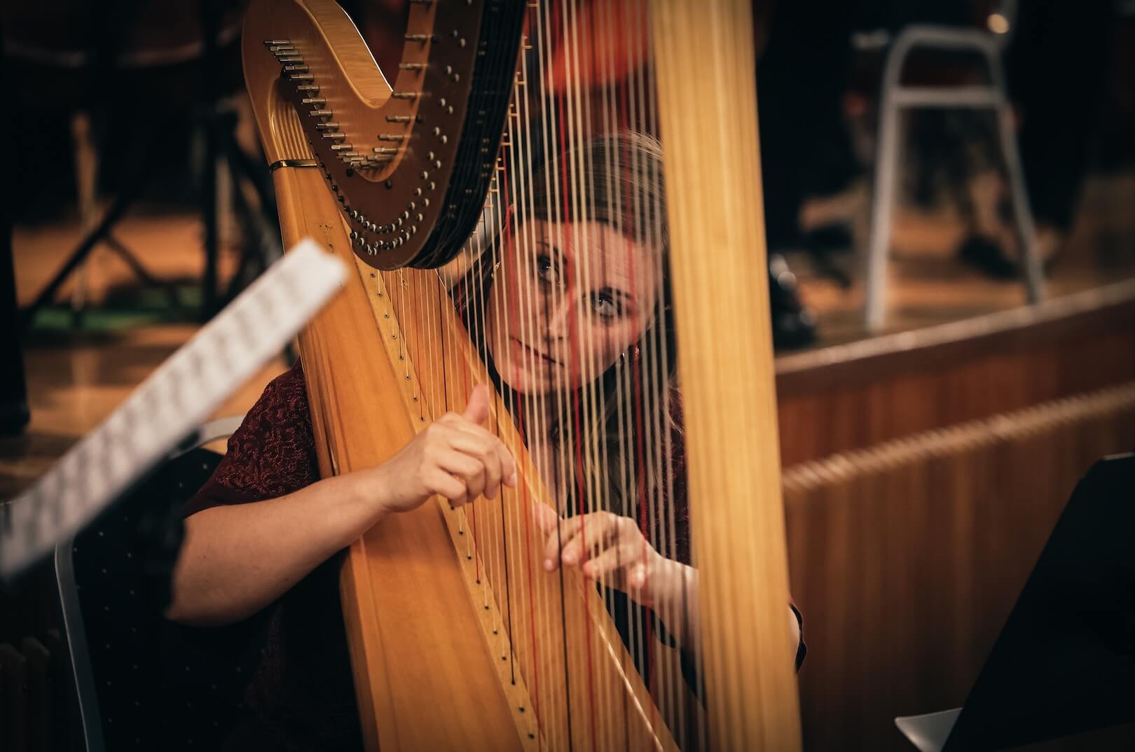 Symfonický orchestr Hudební školy v Linci - obrázek 33