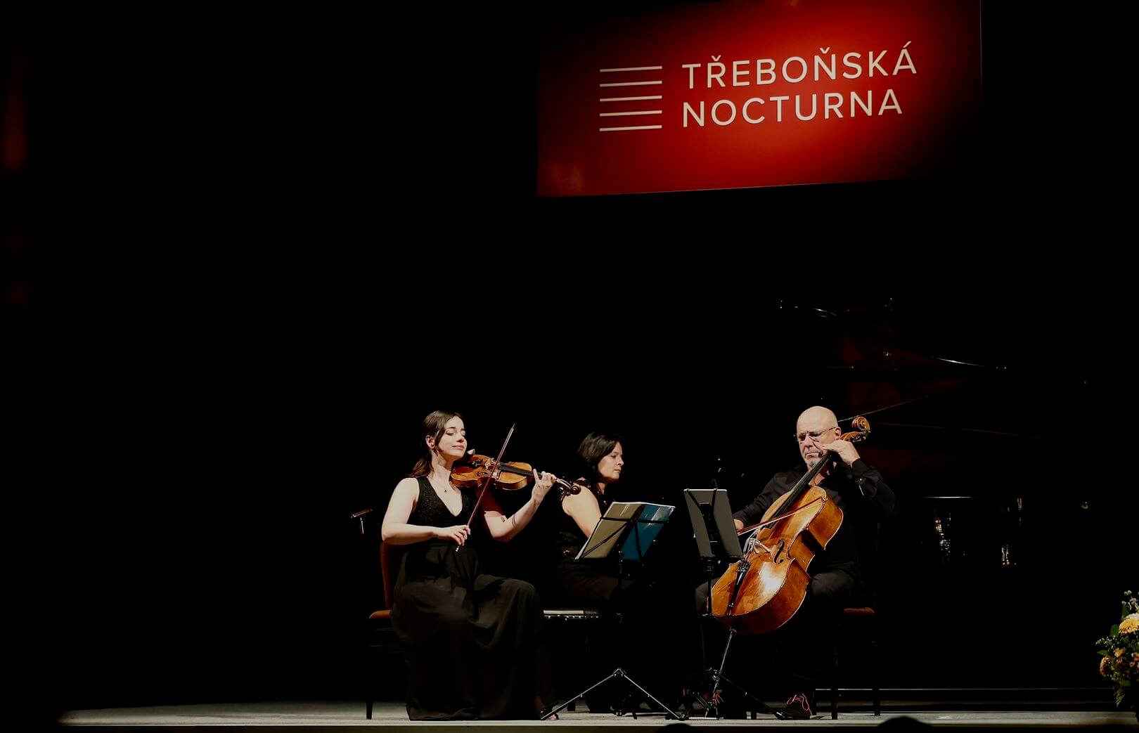Smetanovo trio