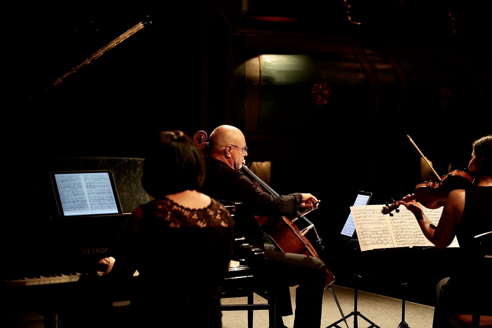Smetanovo trio