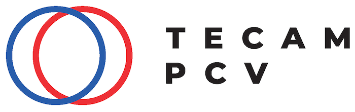 Logo Tecam